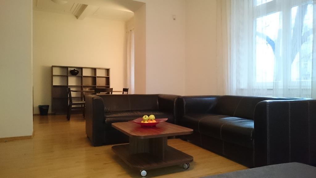 Lion Apartments Medena, Big Size, High Ceilings 布拉迪斯拉发 客房 照片