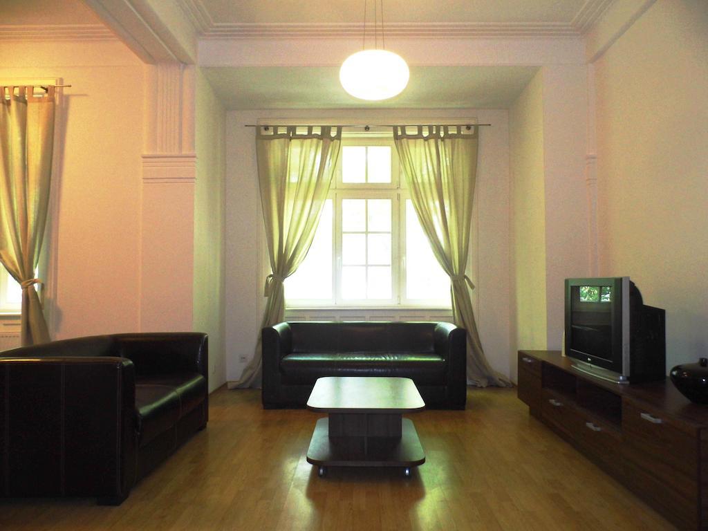 Lion Apartments Medena, Big Size, High Ceilings 布拉迪斯拉发 客房 照片