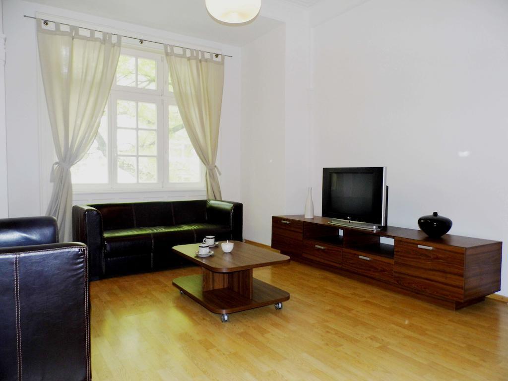 Lion Apartments Medena, Big Size, High Ceilings 布拉迪斯拉发 客房 照片