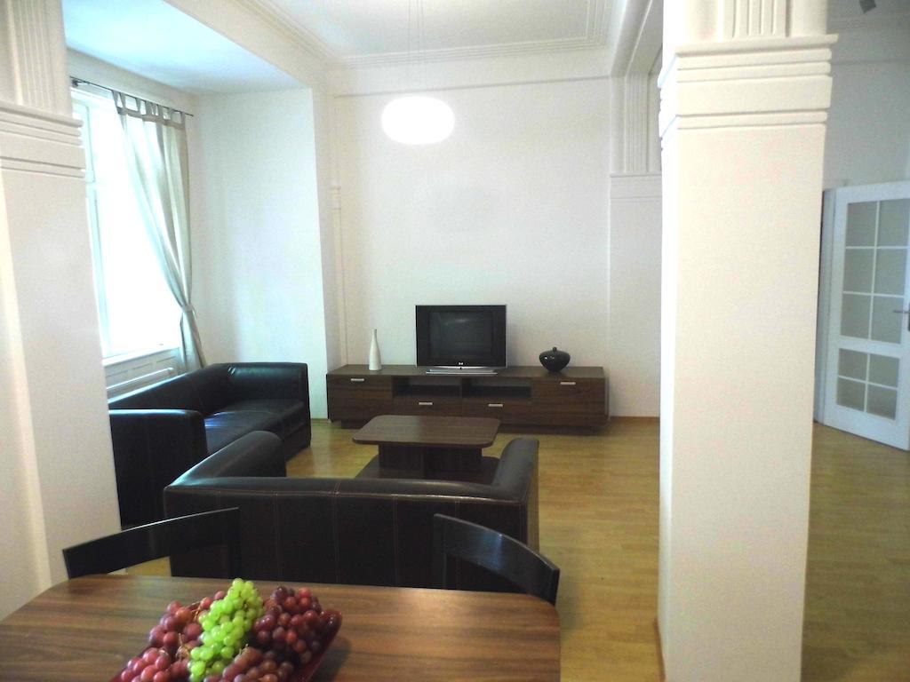 Lion Apartments Medena, Big Size, High Ceilings 布拉迪斯拉发 客房 照片