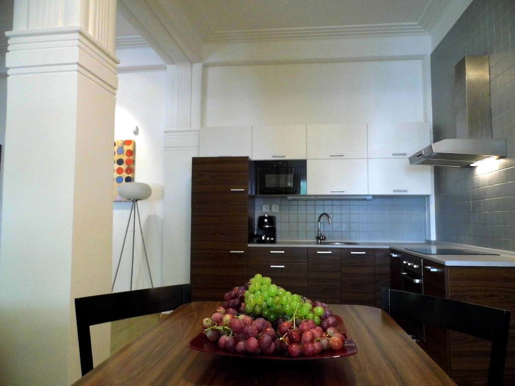 Lion Apartments Medena, Big Size, High Ceilings 布拉迪斯拉发 客房 照片