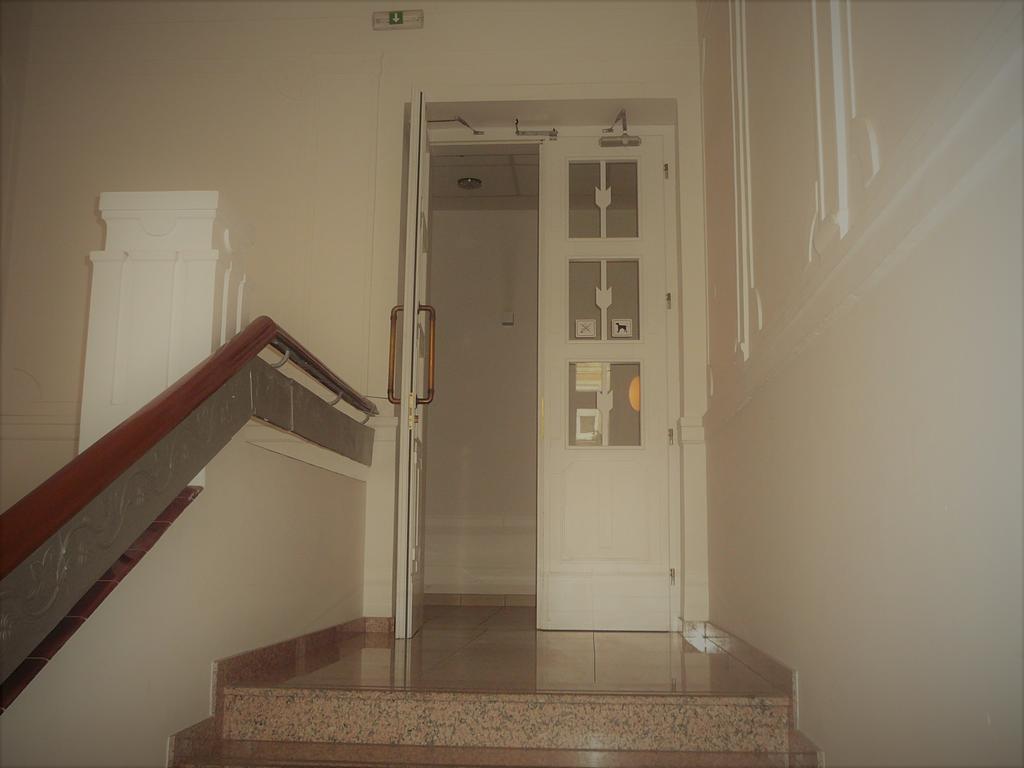 Lion Apartments Medena, Big Size, High Ceilings 布拉迪斯拉发 外观 照片