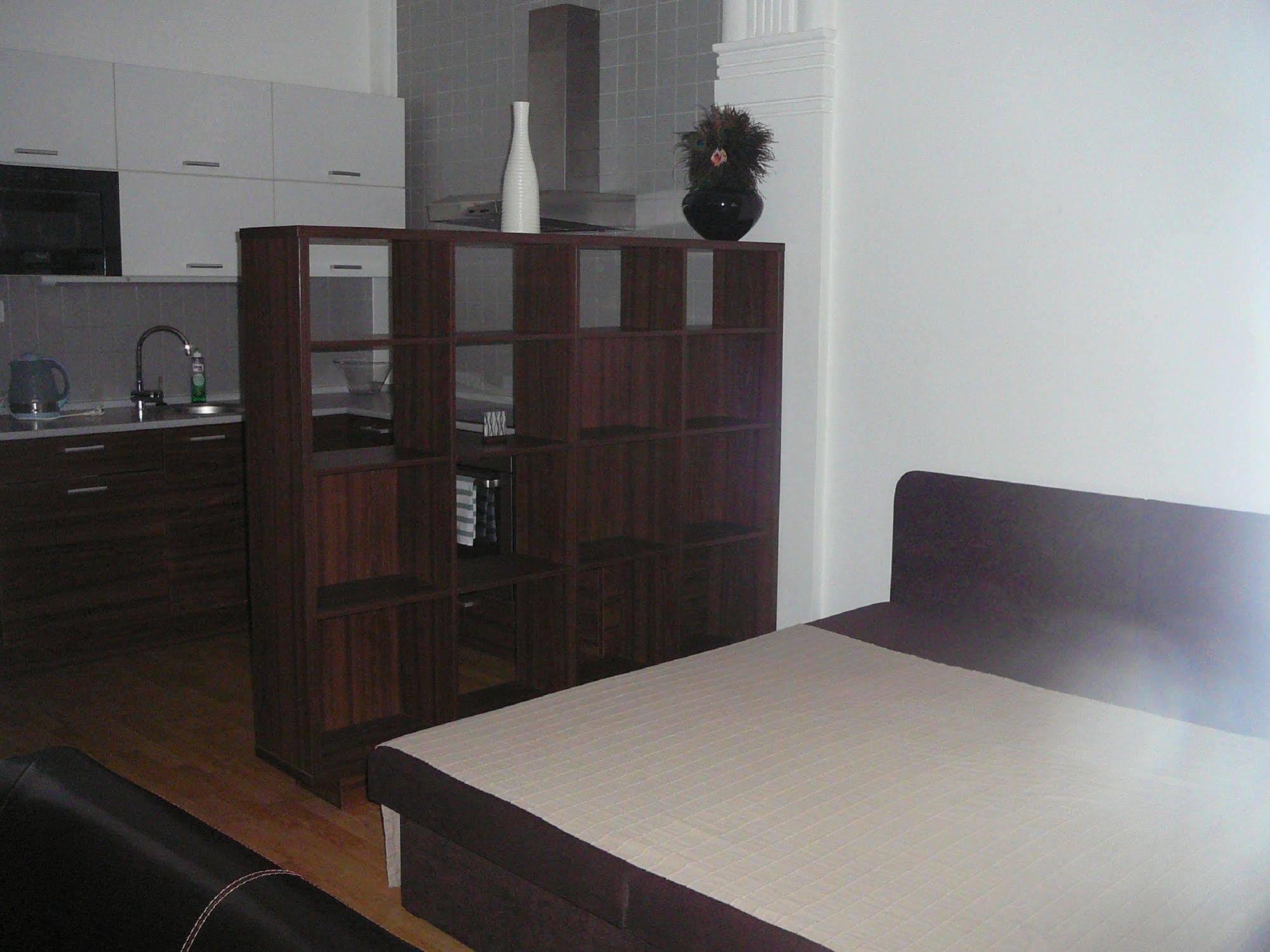 Lion Apartments Medena, Big Size, High Ceilings 布拉迪斯拉发 外观 照片